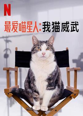 讲述猫中乔治克鲁尼的故事#最爱喵星人：我猫威武(全集)