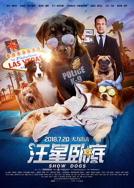 警犬参加犬展比赛，它想要获得冠军，只为了救回被偷走的熊猫#汪星卧底(全集)